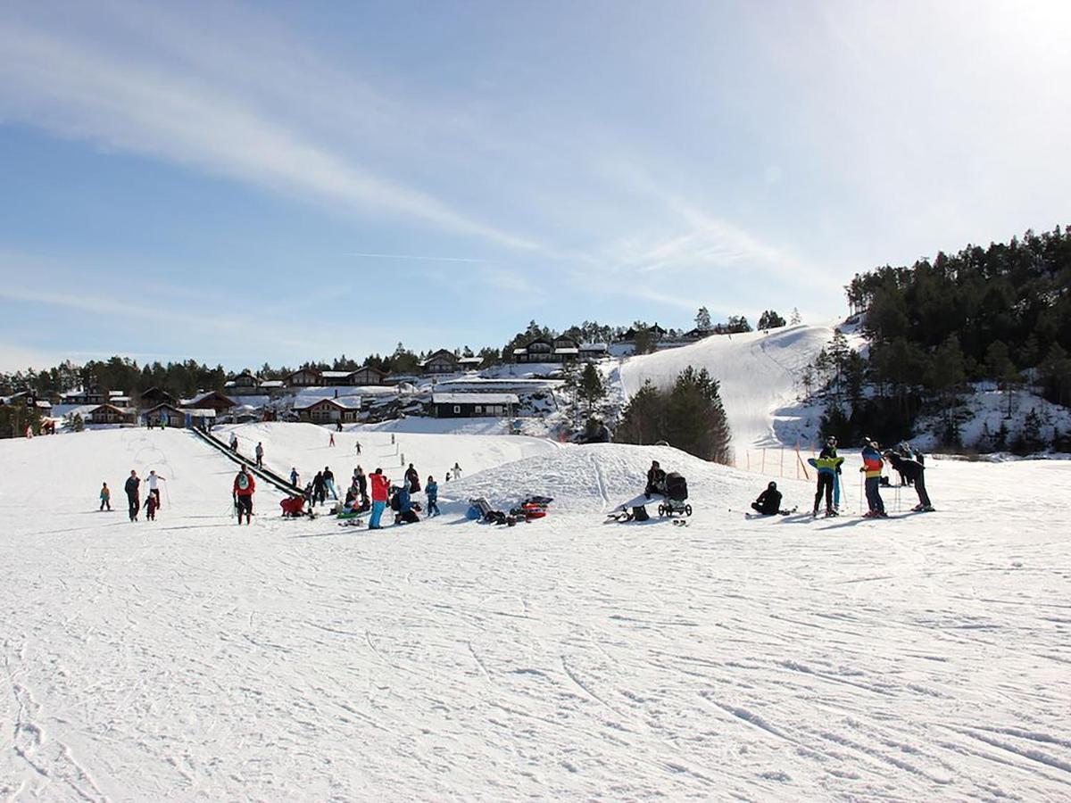 Hyggelig Blikk - Mountain Cabin With Sauna & Ski Access Holiday home