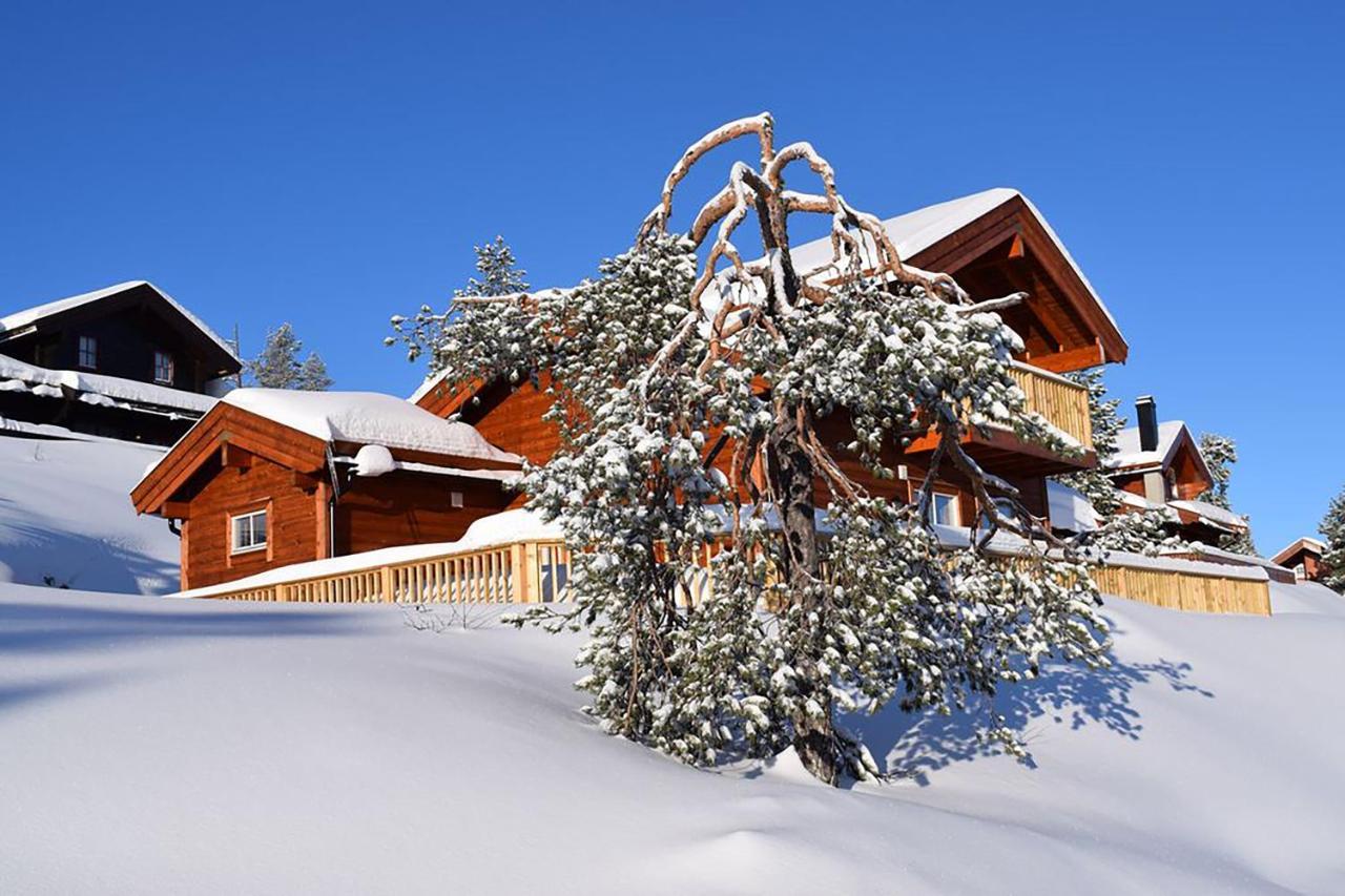 Holiday home Hyggelig Blikk - Mountain Cabin With Sauna & Ski Access Bakko