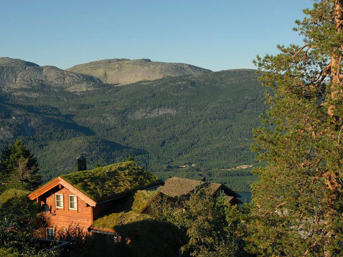 Hyggelig Blikk - Mountain Cabin With Sauna & Ski Access Holiday home